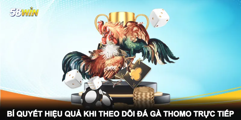 bi-quyet-hieu-qua-khi-theo-doi-da-ga-thomo-truc-tiep