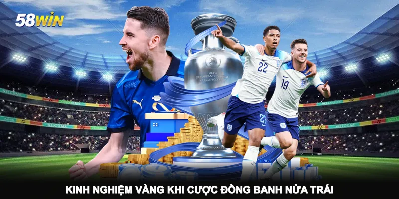 kinh-nghiem-vang-khi-cuoc-dong-banh-nua-trai